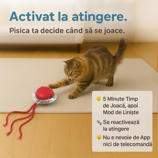 Bila Interactivă Pentru Pisici